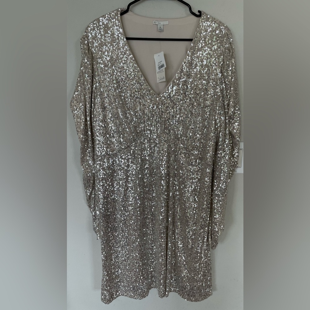 Elegant Silver Sequin Long Sleeve Dress